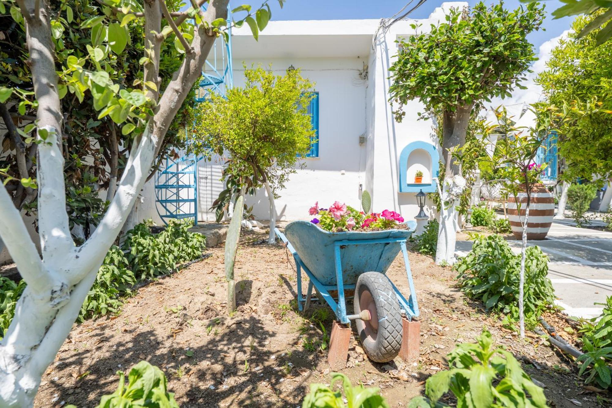 Perivoli 3-Chora Apartment Agkidia Exterior photo