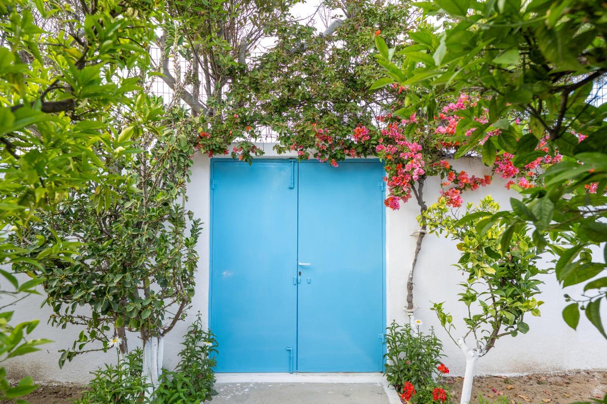 Perivoli 3-Chora Apartment Agkidia Exterior photo